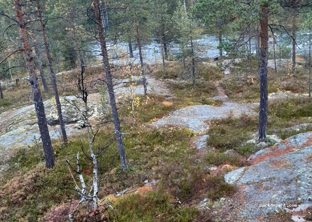 (962 05) Moskosel - — foto