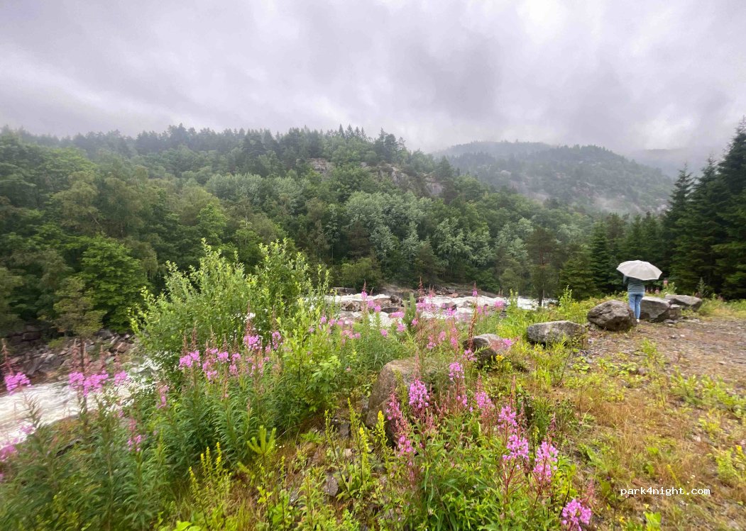 (4580) Lyngdal - — foto 3