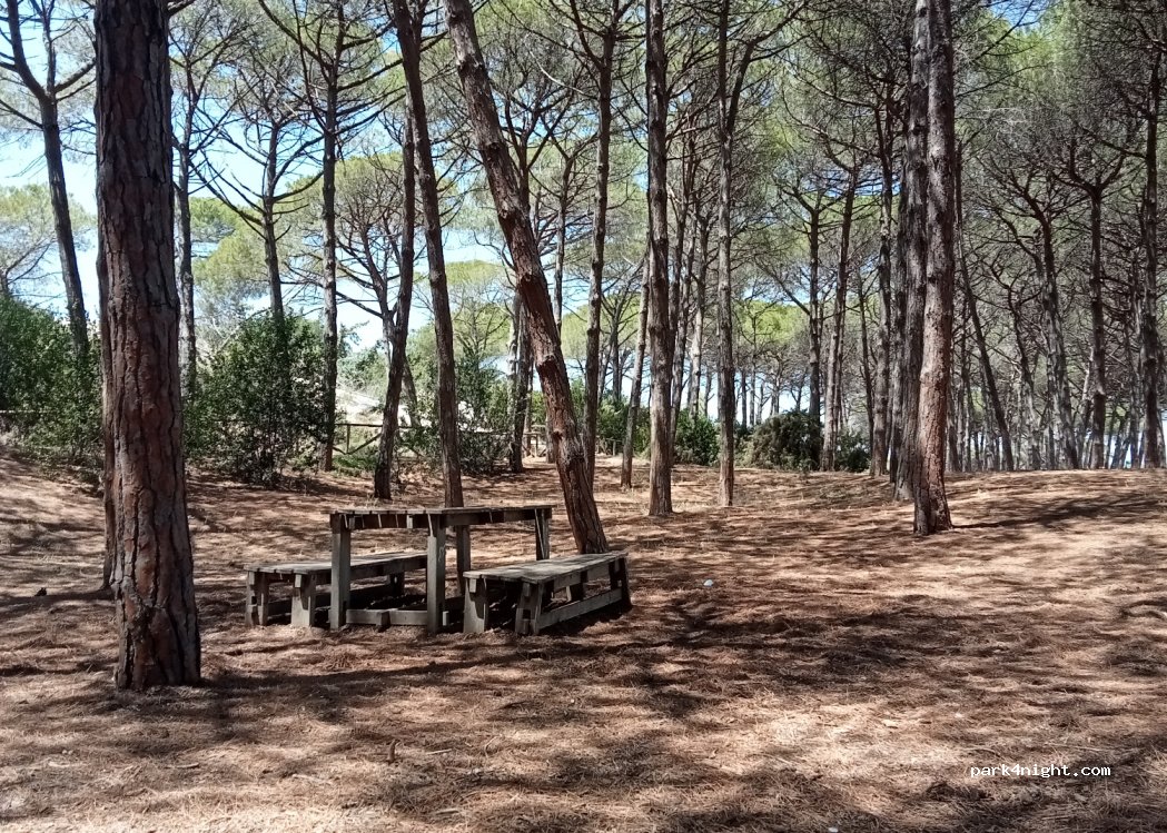 (07041) Alghero - Viale I Maggio — foto
