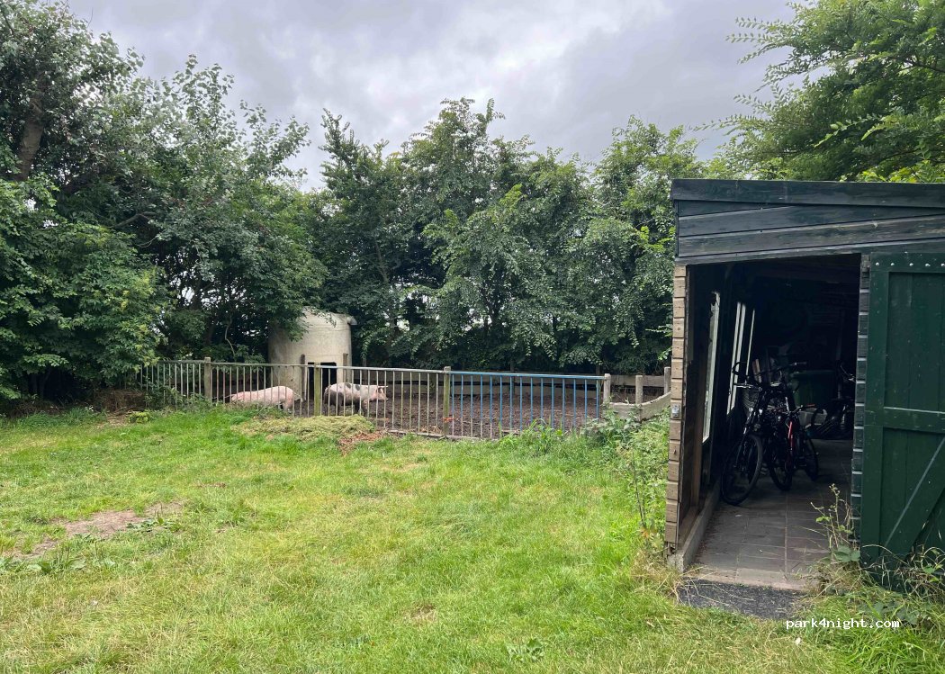 Camping Zijm — foto 2