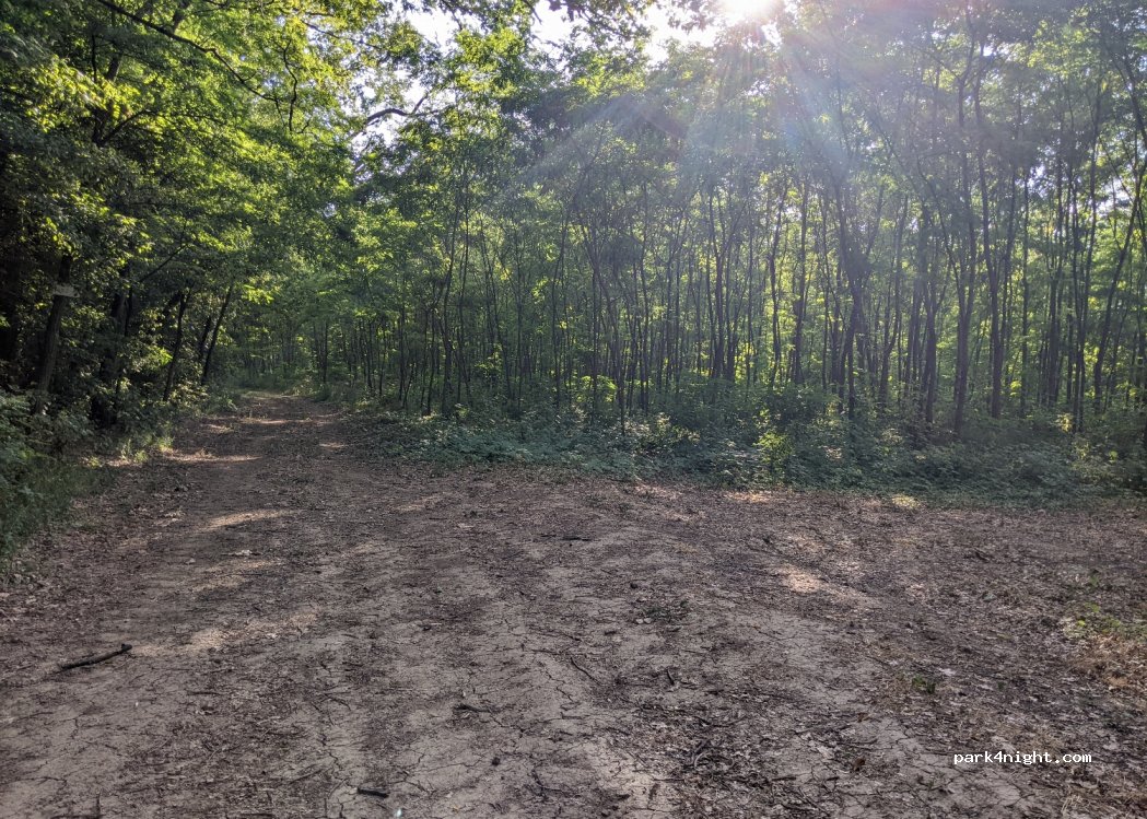(5244) Tiszaszőlős - — foto 2
