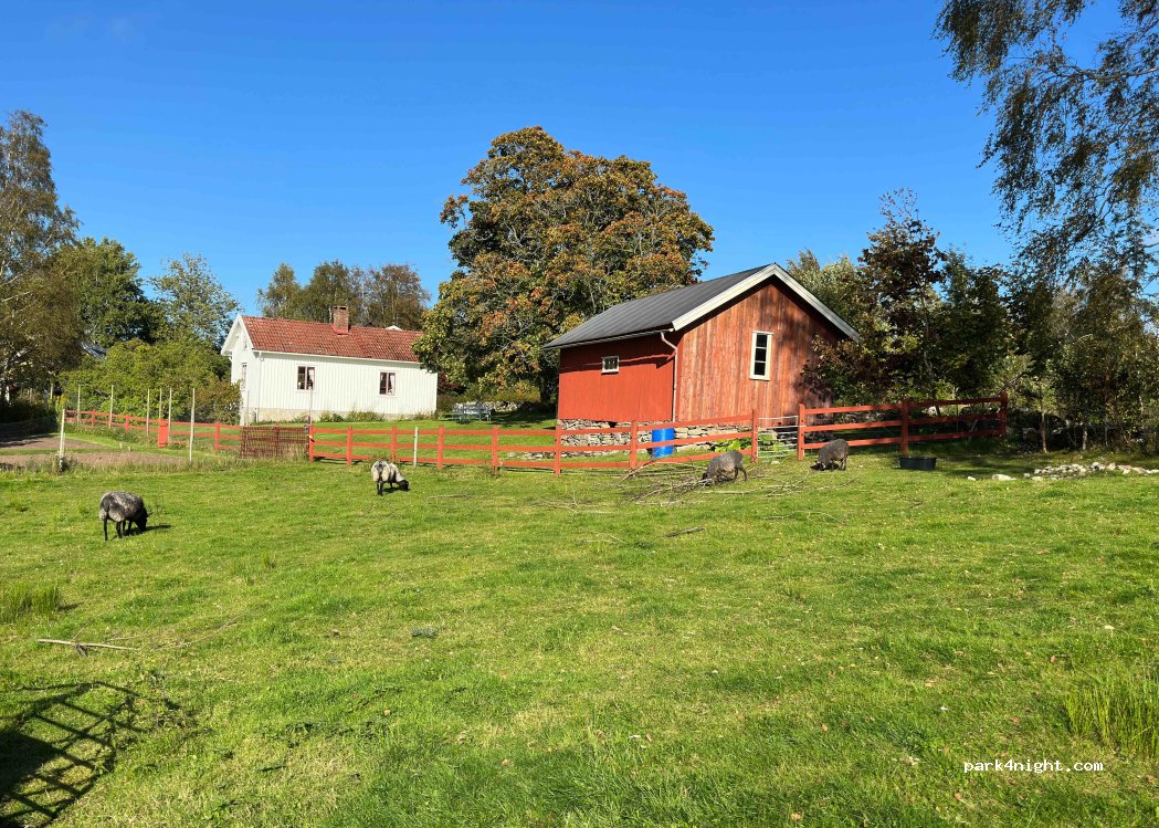 Töllås Fårgård — foto 2