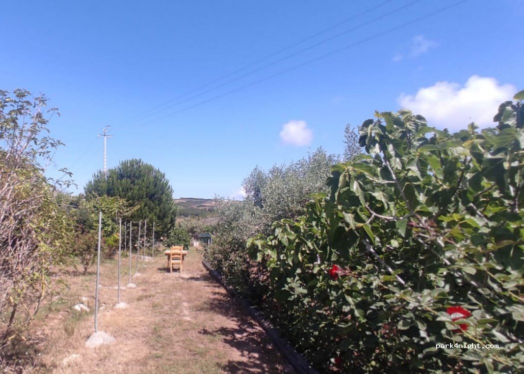 (2530) Lourinhã - 4 Rua das Eirós — foto 3