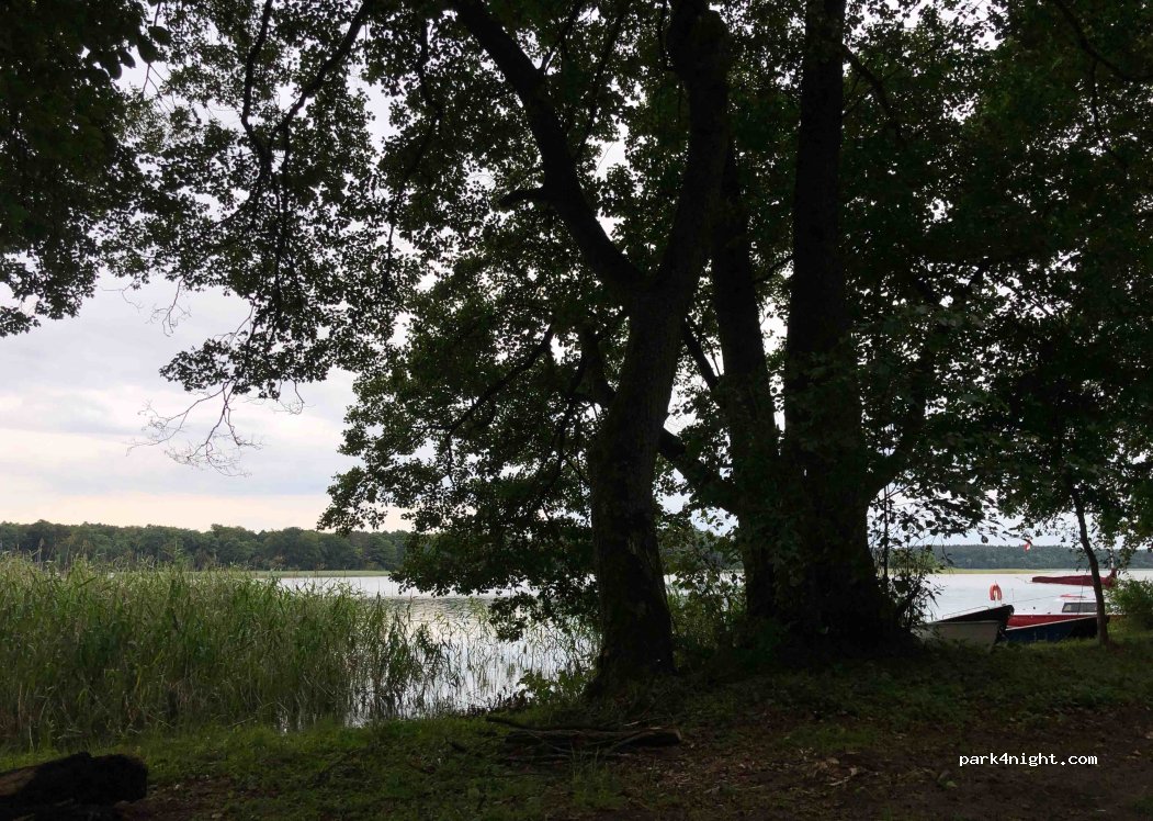 Leśna Marina — foto 2
