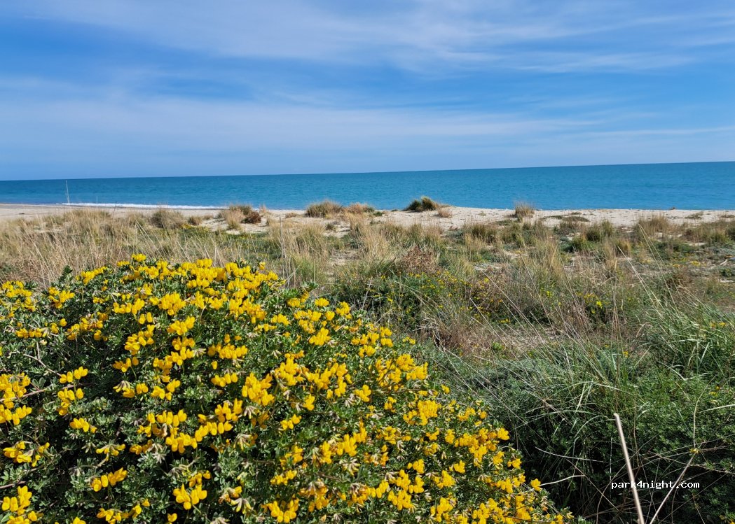 (88060) Guardavalle Marina - 185 Via Nazionale — foto 4