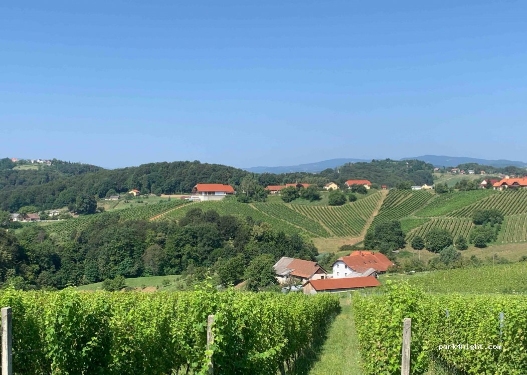 Organic winery and farm Valentan — foto