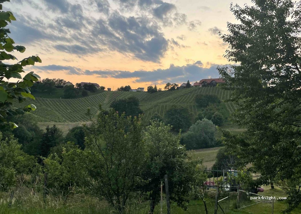 Organic winery and farm Valentan — foto 4