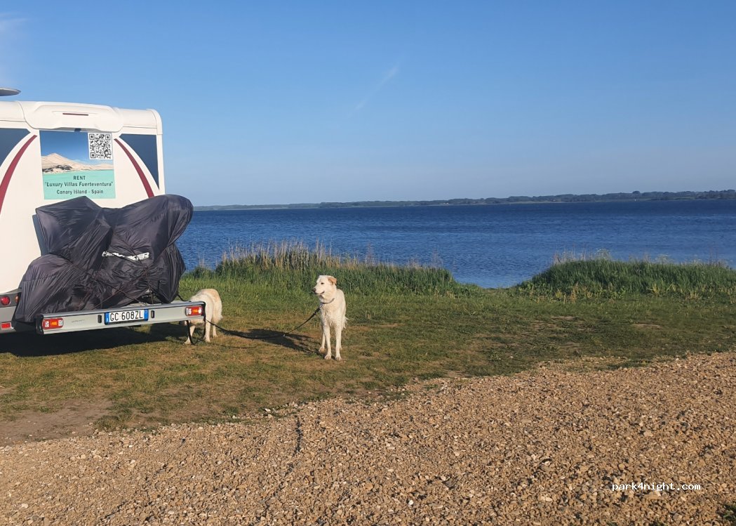 (8700) Horsens - 36 Grønningen — foto 2