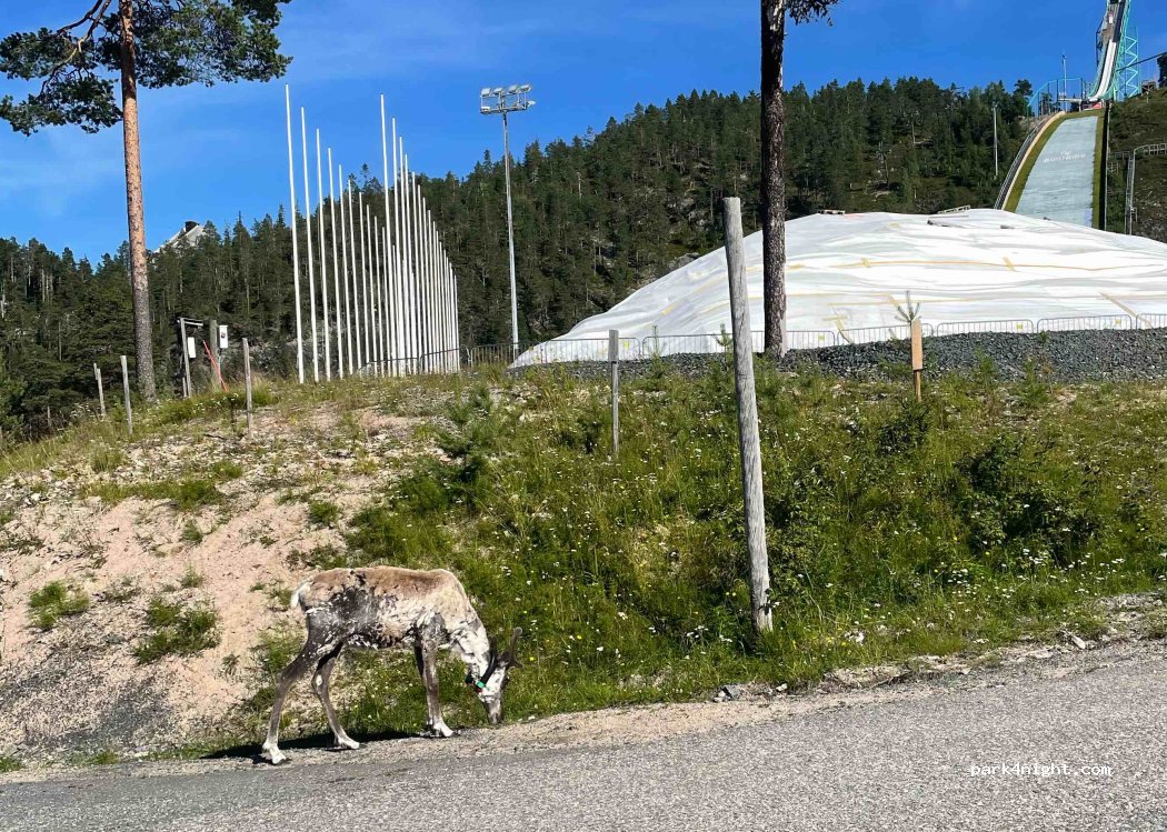 (93825) Kuusamo - 3a Hiihtostadionintie — foto 3