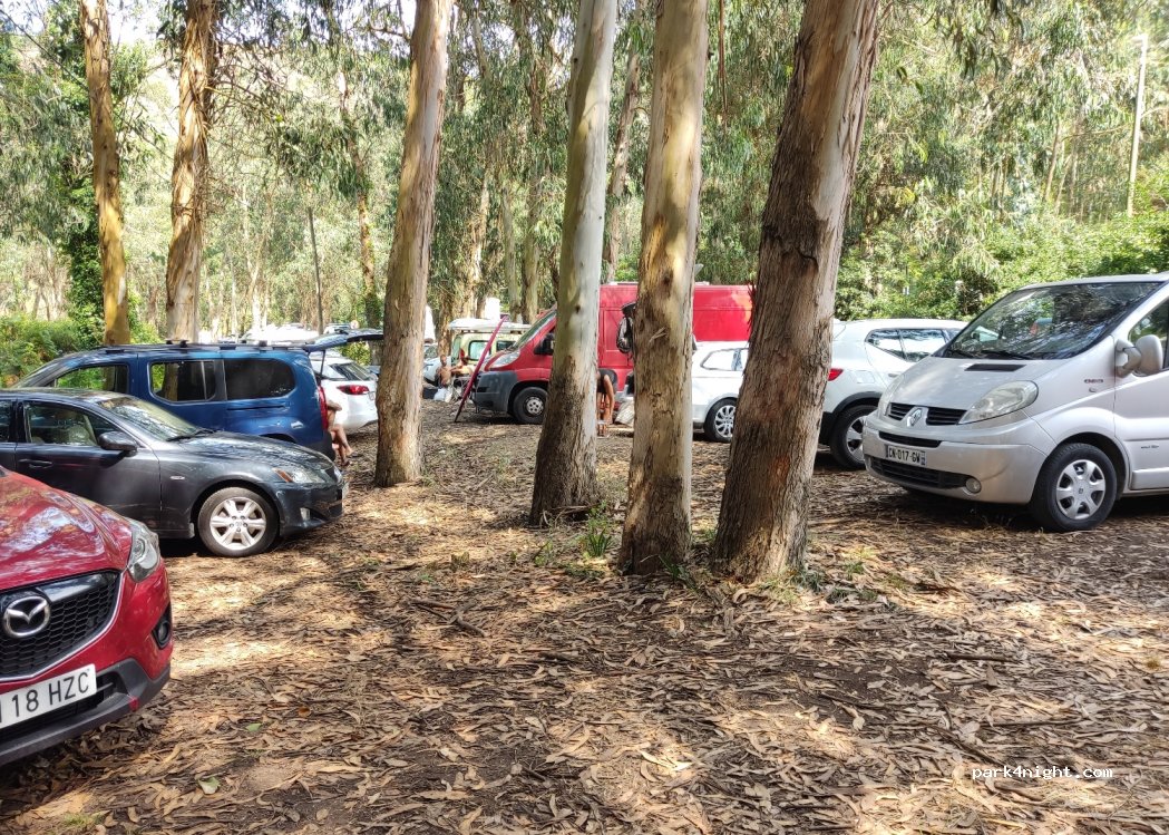 (33418) Xago - 66 Lugar Nieva — foto