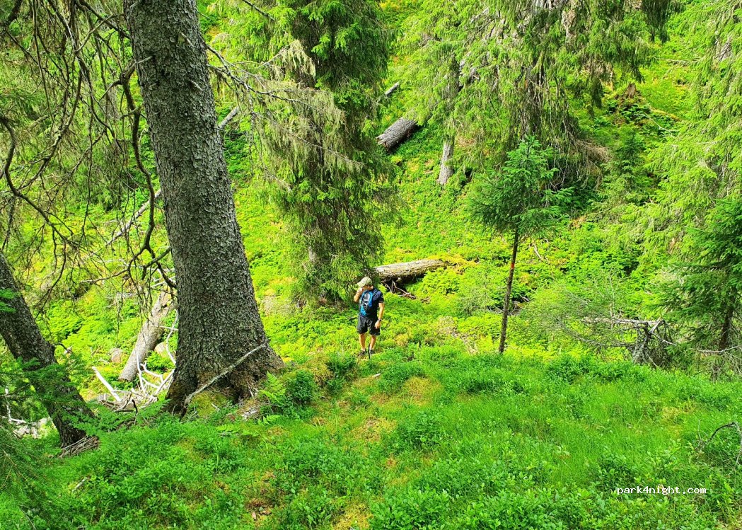(796 99) Älvdalen - — foto 2