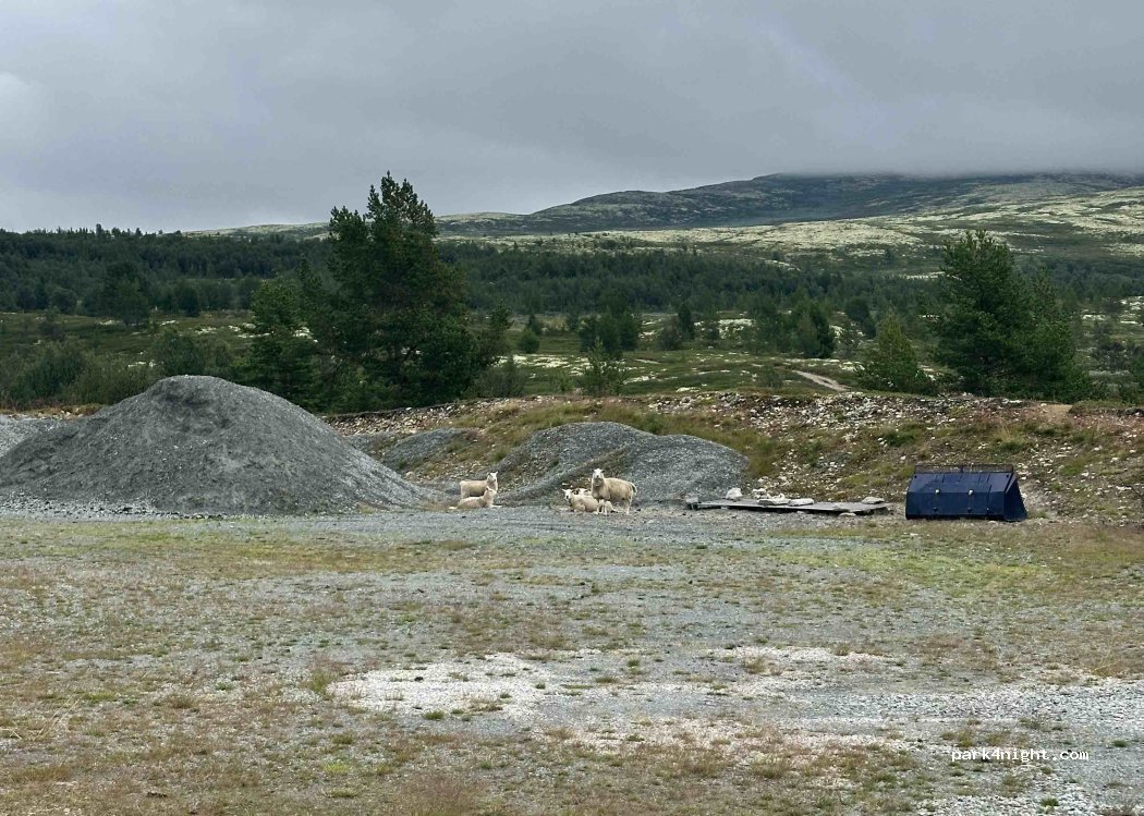 (2673) Høvringen - Unnamed Road — foto 2