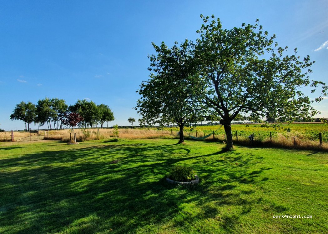 (31275) Lehrte OT Steinwedel - — foto
