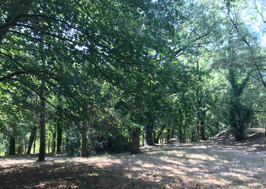 (85440) Poiroux - Garnaud — foto