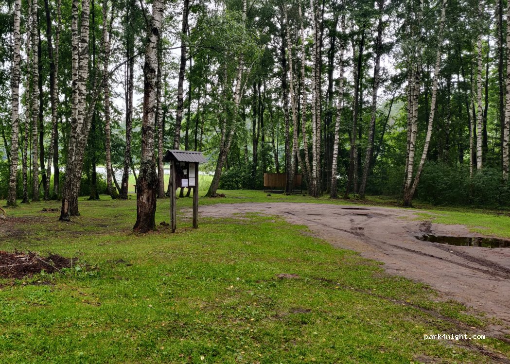(28332) Paisetė I - 4908 — foto