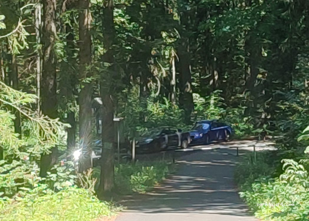 (59) Janowice Wielkie - Unnamed Road — foto