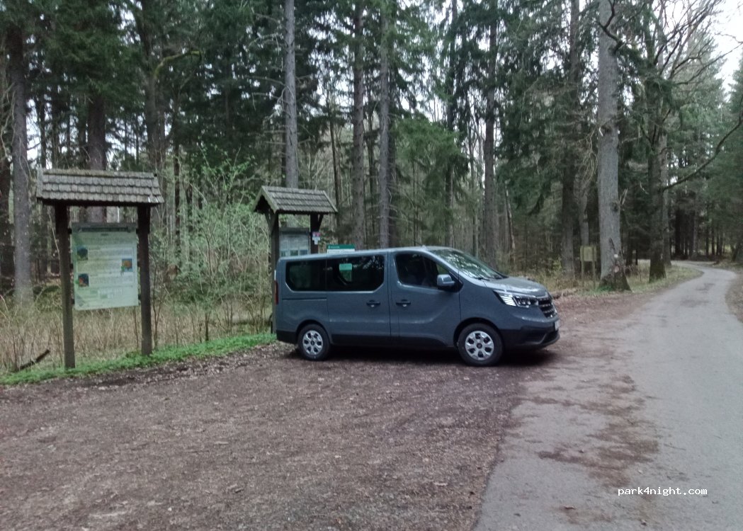 (59) Janowice Wielkie - Unnamed Road — foto 3