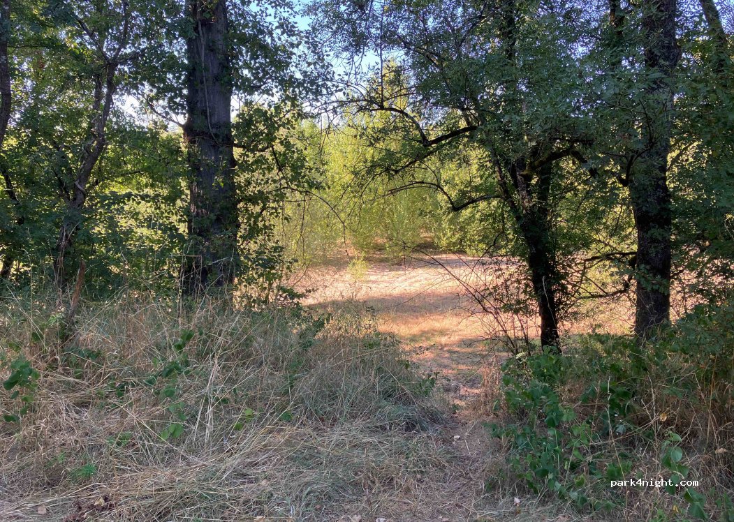 (37130) Bréhémont - Unnamed Road — foto