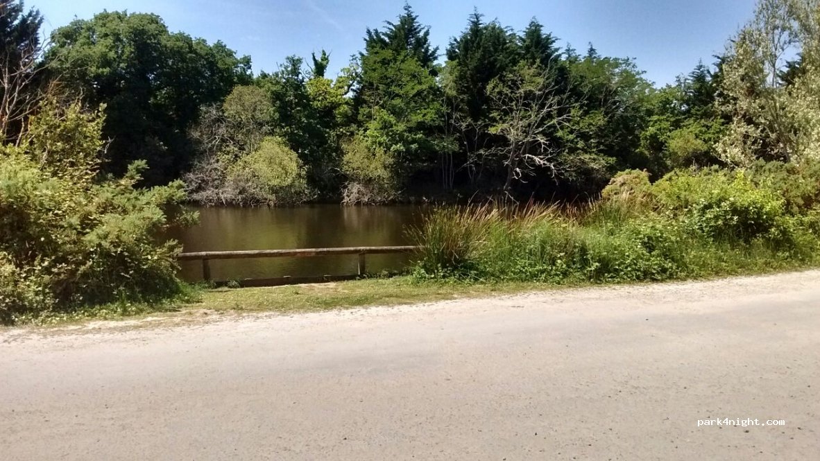 (17550) Dolus-d'Oléron - Les Grissotières Nord Oues — foto 4