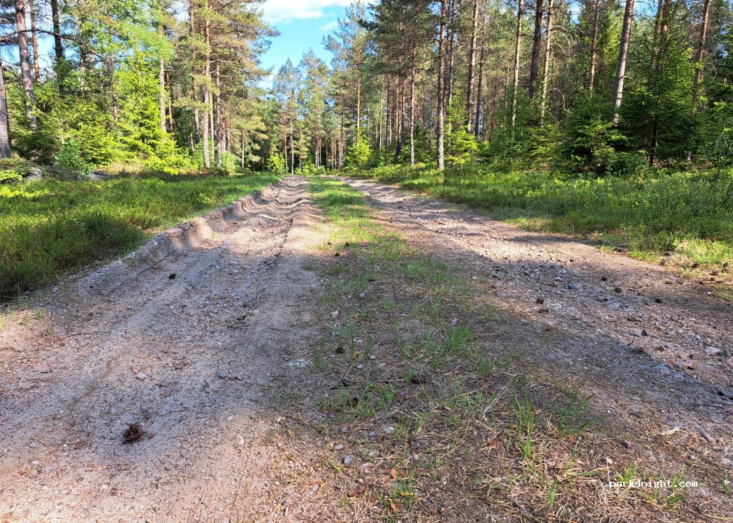 (330 27) Hestra - — foto 2