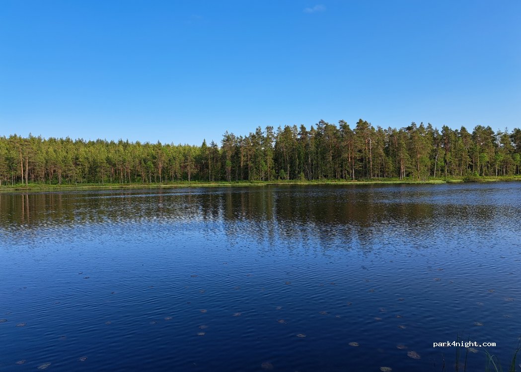 (330 27) Hestra - — foto 3