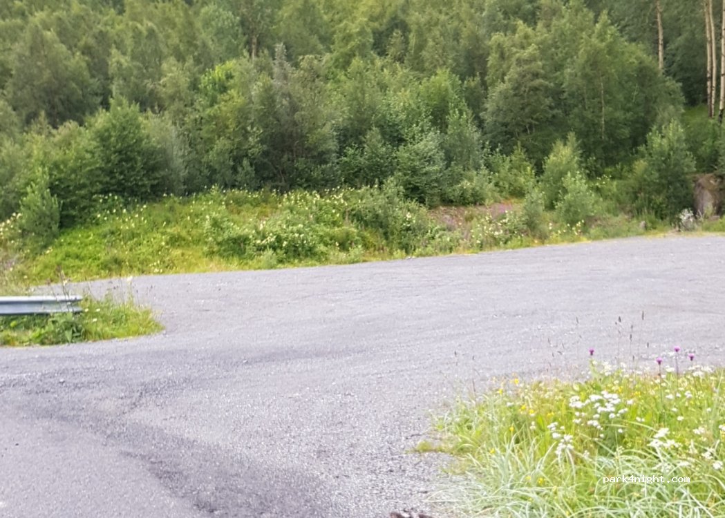 (8093) Fjær - 834 — foto