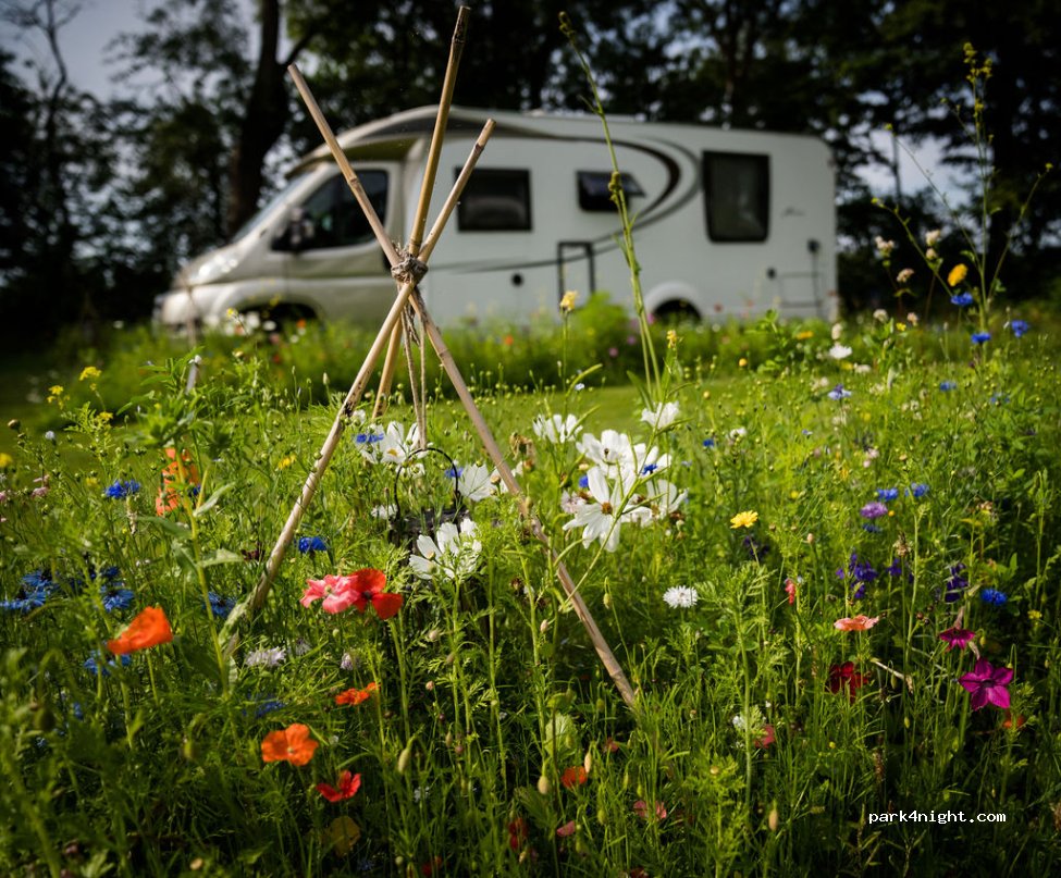Camperplaats Marnic Hoeve — foto 5