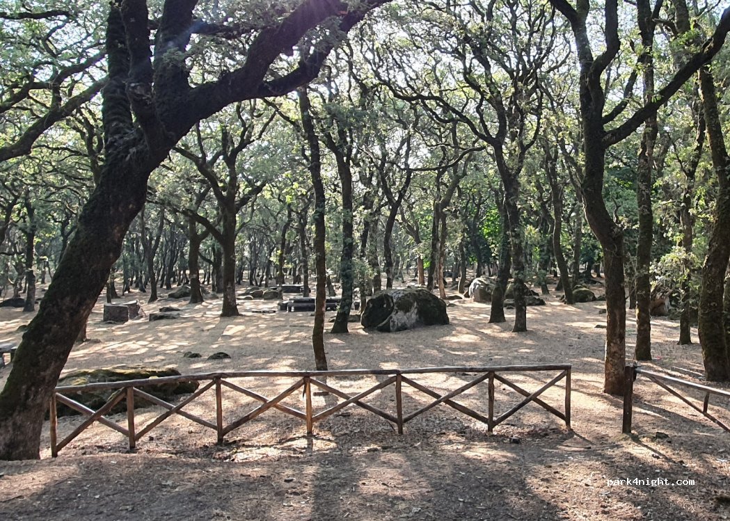 (08015) Macomer - SC Monte — foto