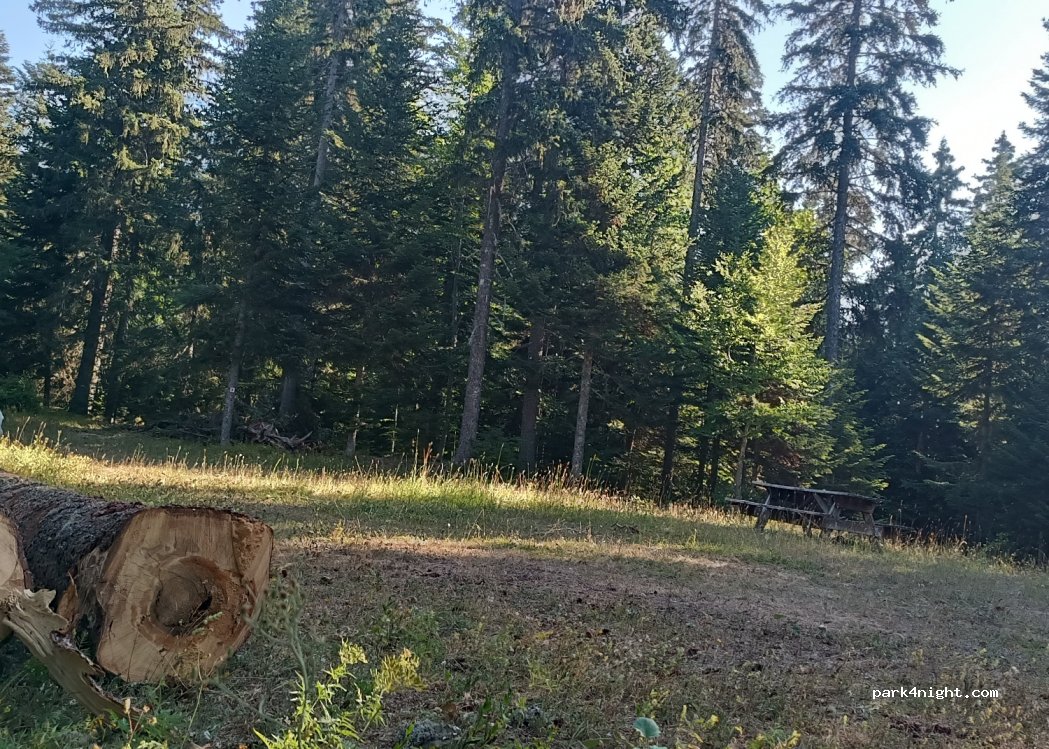 (38112) Autrans-Méaudre-en-Vercors - — foto