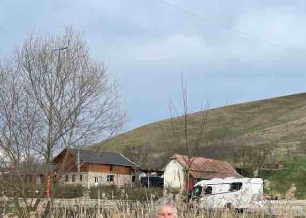 Terasa Stejarii — foto