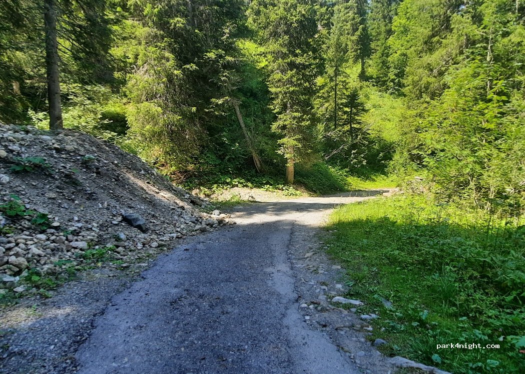 (1884) Ollon - Unnamed Road — foto 2