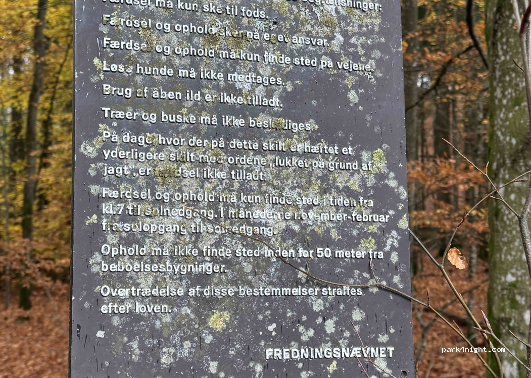 (8680) Ry - Julsøvej — foto 5