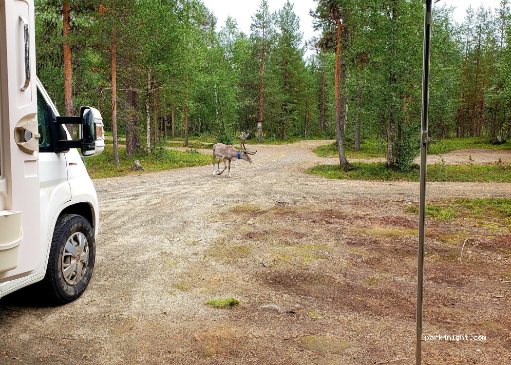 Kyrön Loma Oy — foto 3