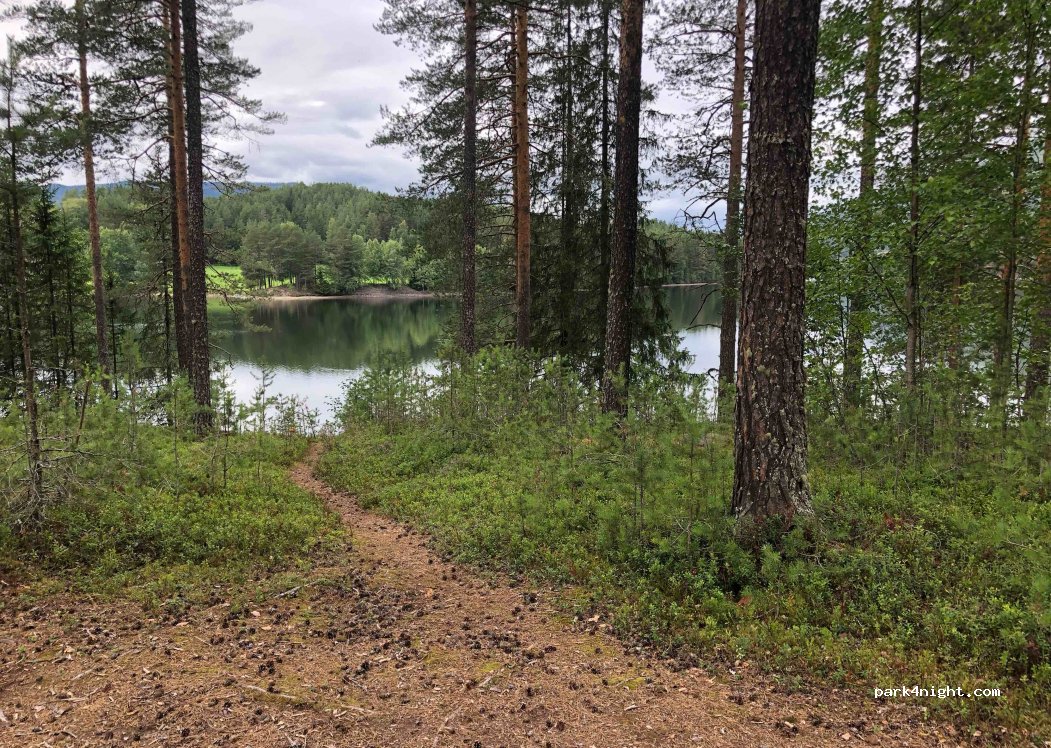 (2910) Aurdal - Vestringslinna — foto