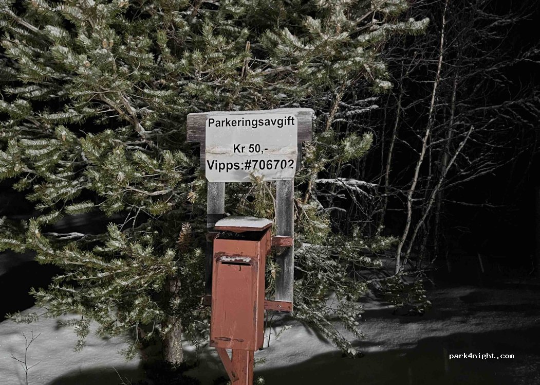 (2550) Røros - 17 Nørdalslia — foto 2