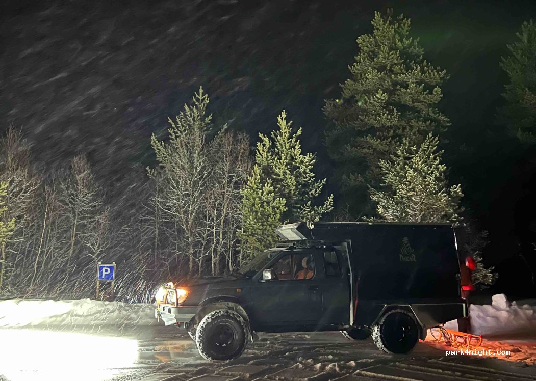 (2550) Røros - 17 Nørdalslia — foto 3