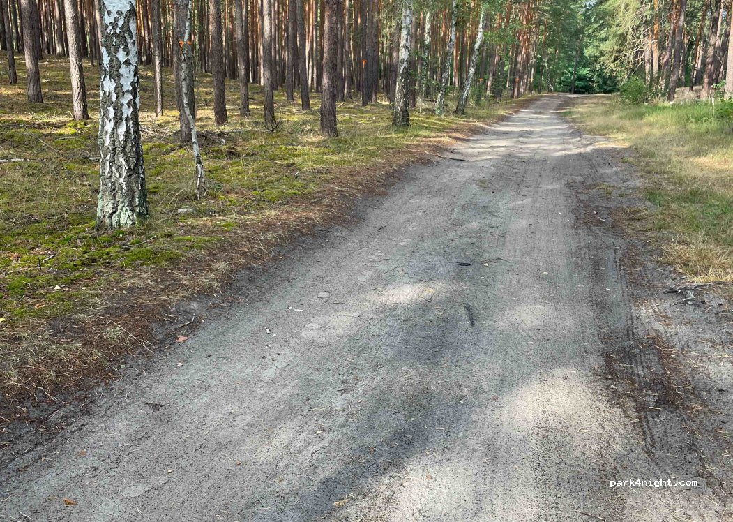 (15746) Groß Köris - — foto