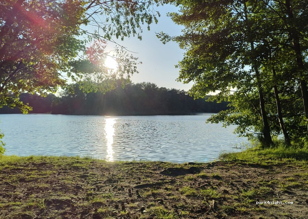(15746) Groß Köris - — foto 3