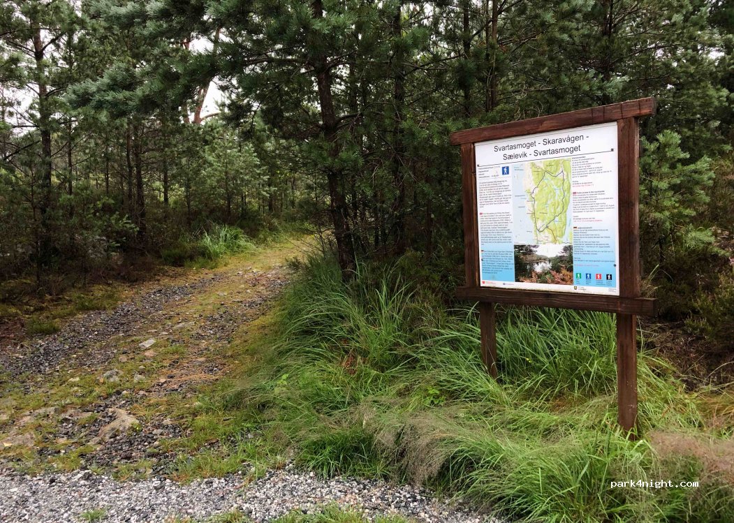 (5410) Sagvåg - Unnamed road — foto 3