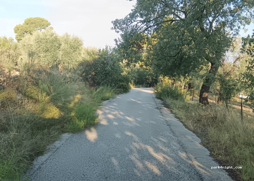 (71010) Peschici - Unnamed road — foto 2
