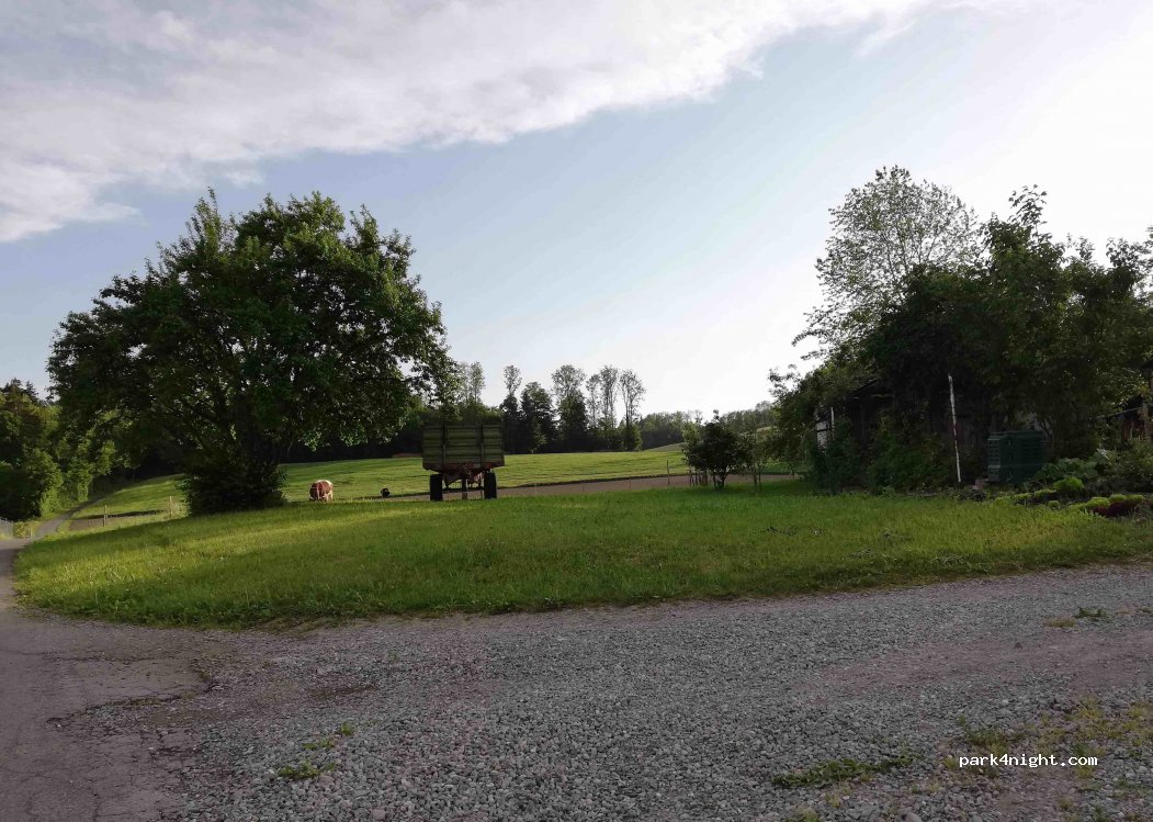 Waldhof — foto 2