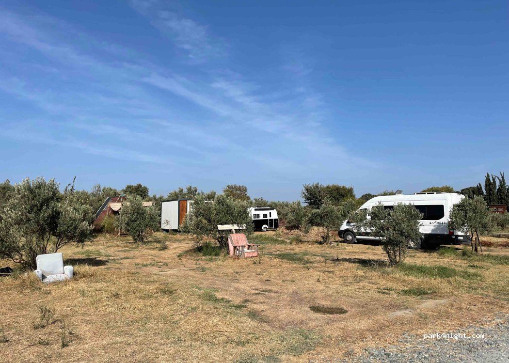 Teos Sanat Kampı -Kamp-Oda Konaklama — foto 2