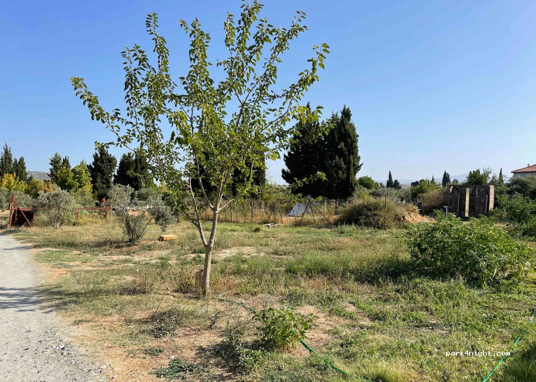 Teos Sanat Kampı -Kamp-Oda Konaklama — foto 3