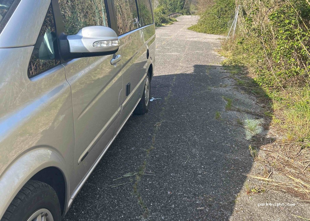 (56017) Ripafratta - 452 Strada Statale 12 — foto 4