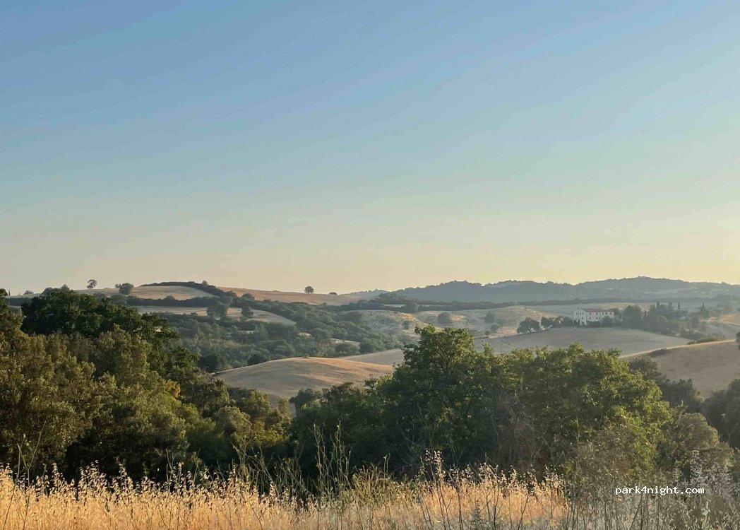 (58042) Campagnatico - — foto