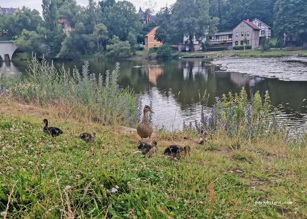 (07318) Saalfeld/Saale - 6-14 Altsaalfelder Straße — foto 4