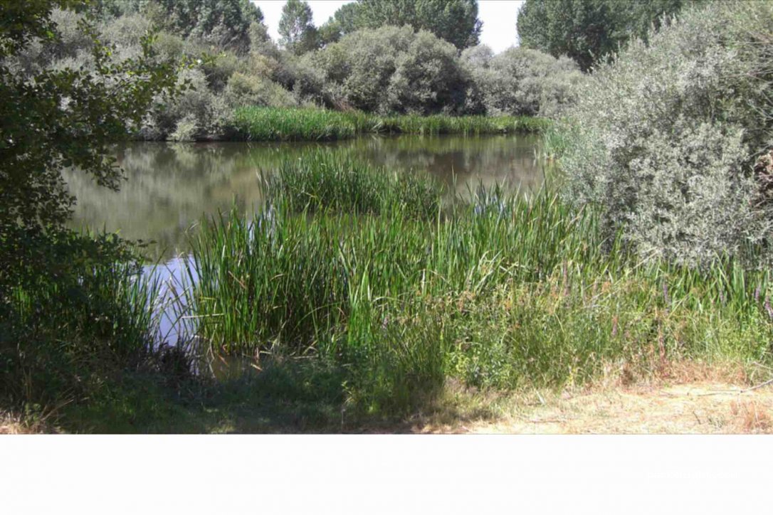 (37193) Salamanca - Camino del Rio — foto
