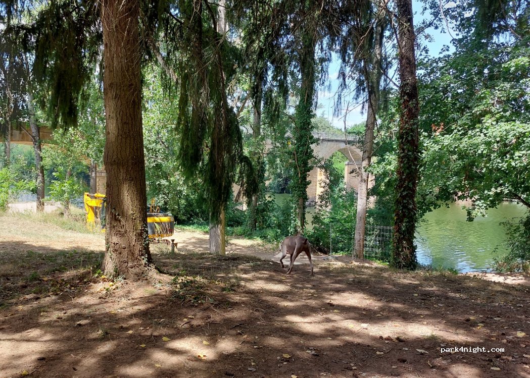 (46700) Vire-sur-Lot - — foto 3
