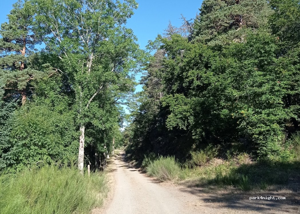(48150) Saint-Sauveur-Camprieu - Chemin GR 6 — foto 3