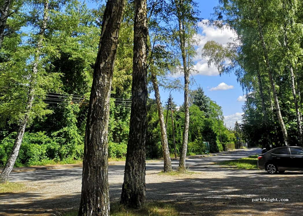(05-506) Magdalenka - 67 Brzozowa — foto